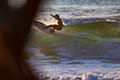 Fotos de Surf y Bodyboard en Salvaje, Barinatxe 